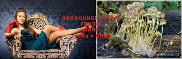 бутик Абаза