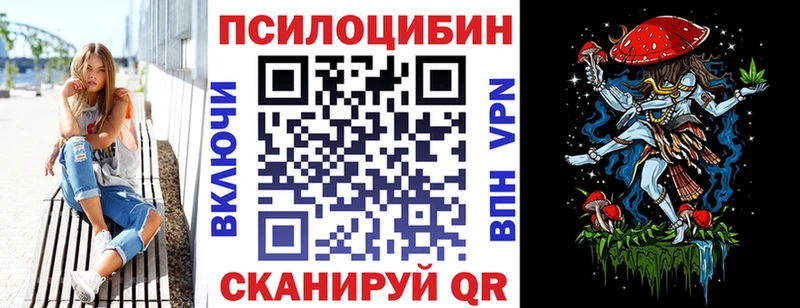 хочу   Шилка  Псилоцибиновые грибы мицелий 